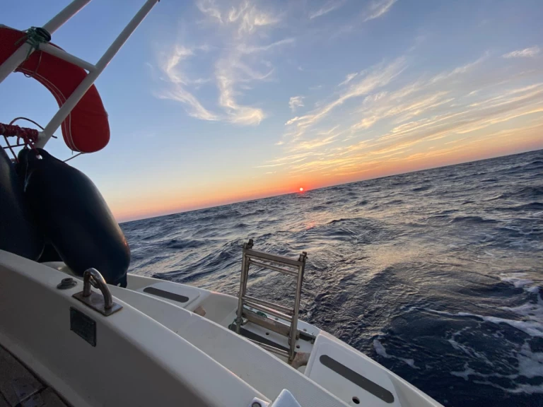 Contest contest 34 a louer à Marseille