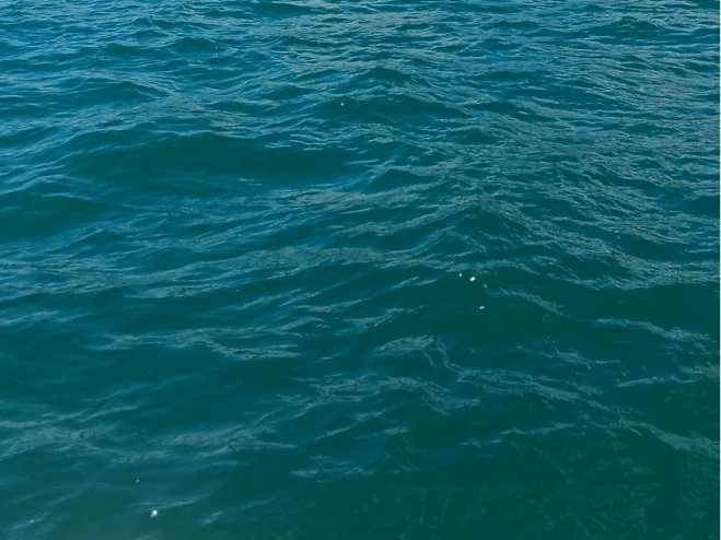 Louez un Bénéteau Flyer 650 WA à Le Cap d'Agde