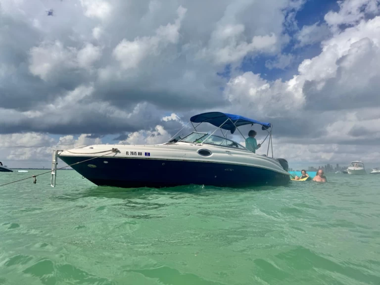 Location bateau Miami pas cher Sea Ray 260 Sundeck