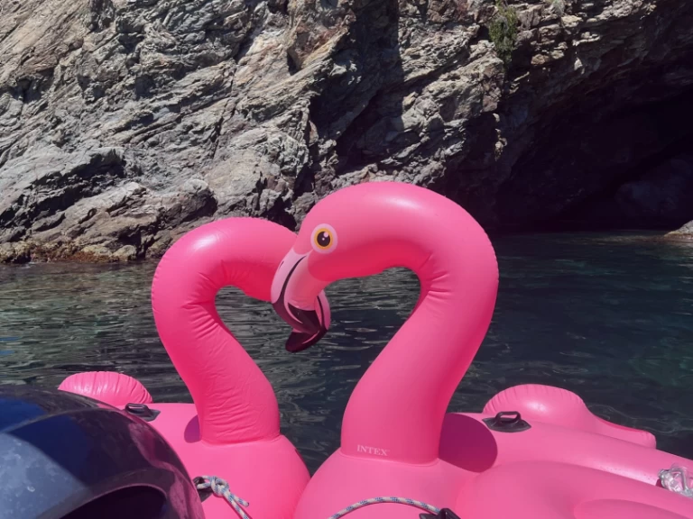 Capelli Tempest 700 a louer à Argelès-sur-Mer