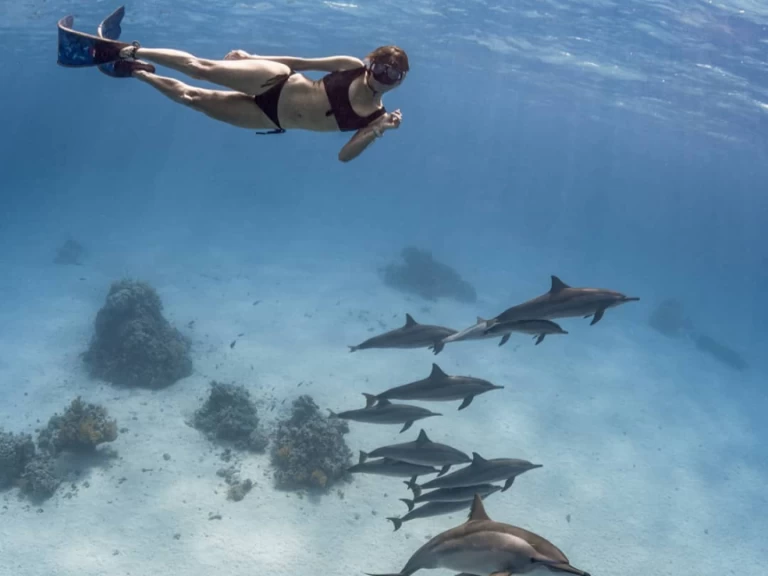 Location à Marsa Alam - Bali Bali 4.0 sur SamBoat