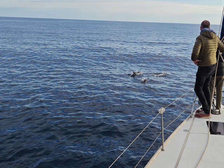 Voilier à louer à Saint-Cyprien-Plage au meilleur prix