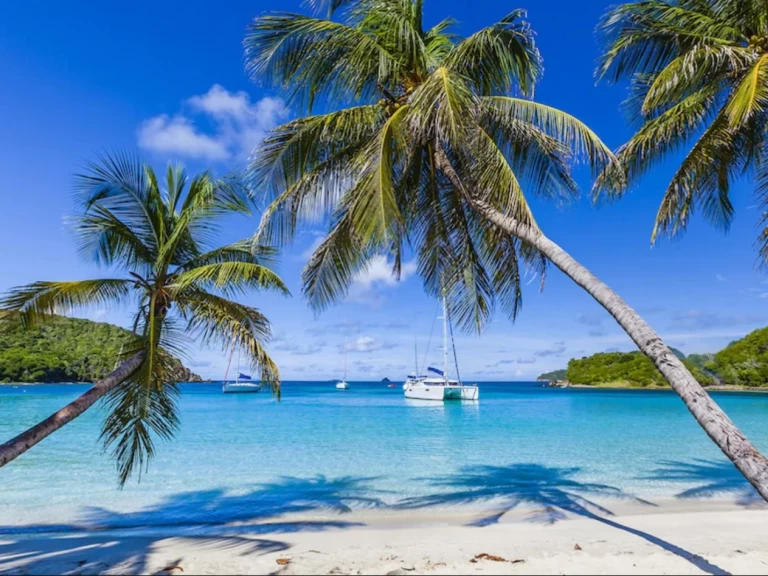 Catamaran à louer à Saint Vincent (Island) au meilleur prix