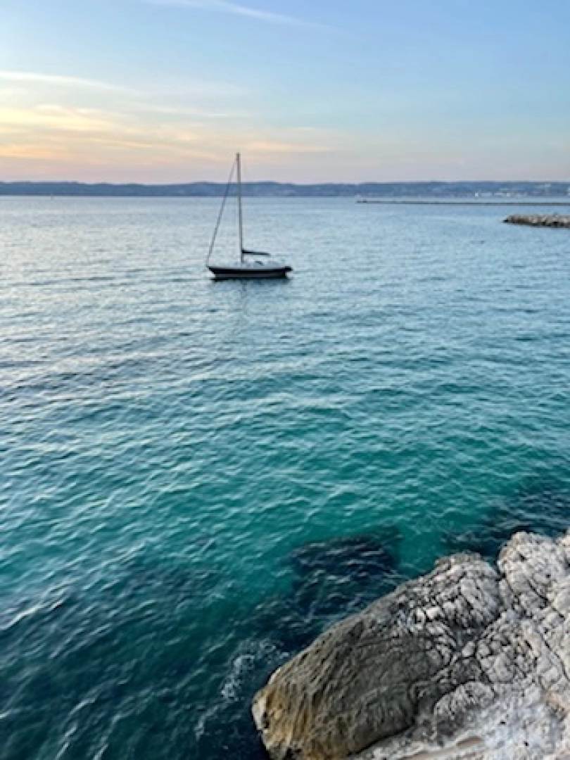 Location Voilier Contest avec permis