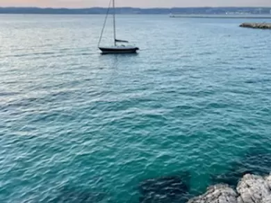 Location Voilier Contest avec permis