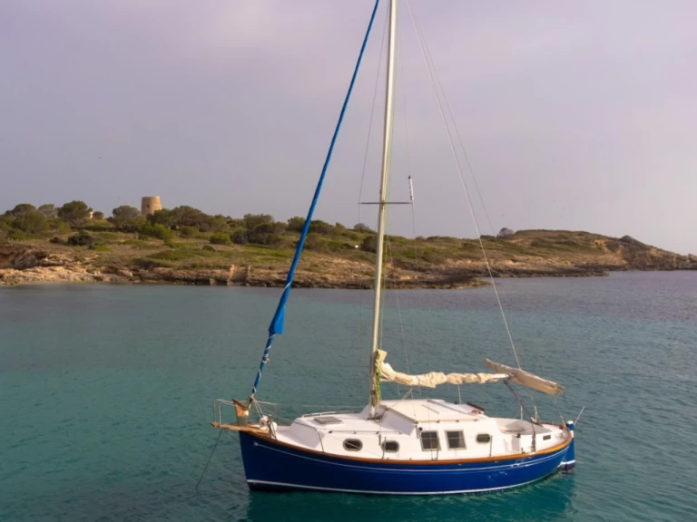 Location bateau Palma de Majorque pas cher delfin 28