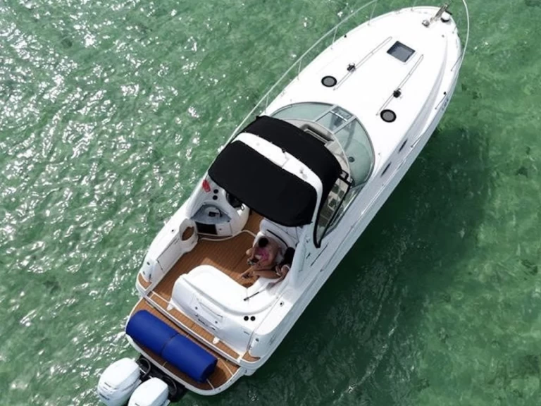 Location à Miami - Sea Ray Sea Ray 360 Sundancer sur SamBoat