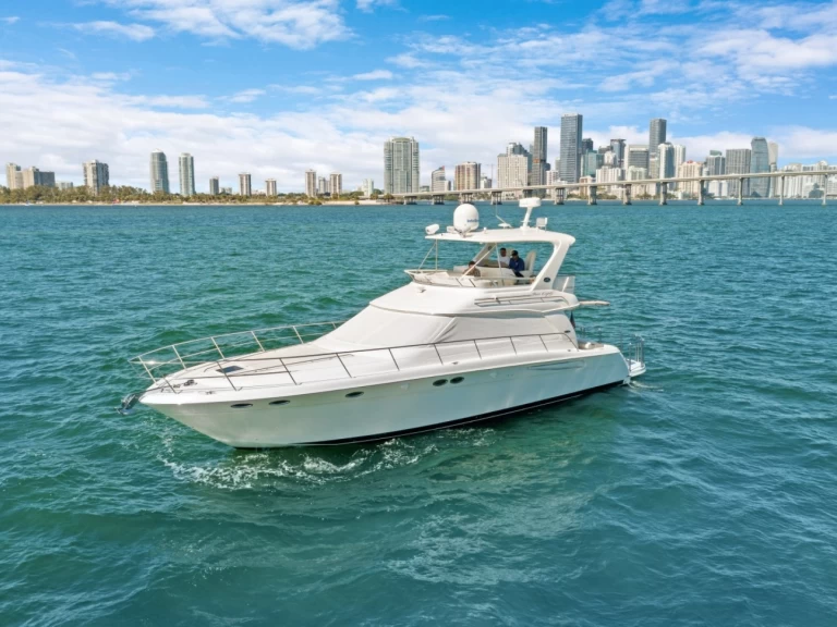 Sea Ray Sea Ray 550 Sedan Bridge a louer à Miami