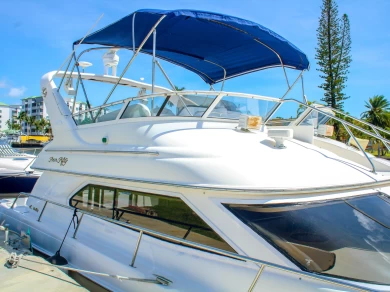 Sea Ray 450 fly bridge  charter bareboat or skippered in  Miami