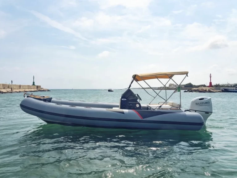 Location Bateau à moteur  avec permis