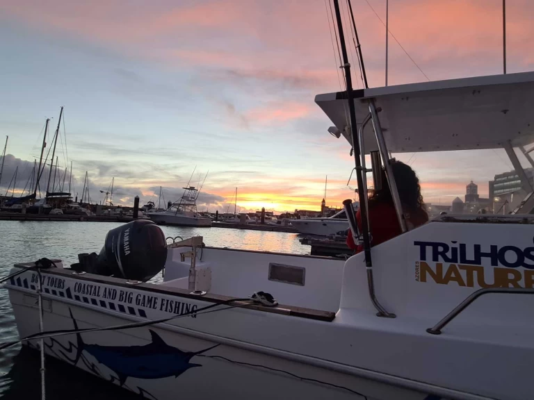 Location à Ponta Delgada (São Pedro) -  Tecninautica Marlin 22 sur SamBoat