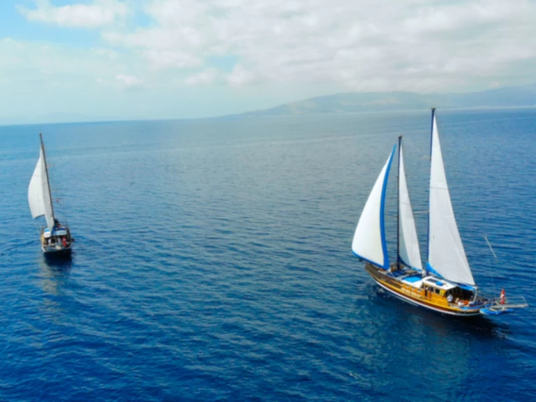 Location à Bodrum -  Gulet Kavanca sur SamBoat