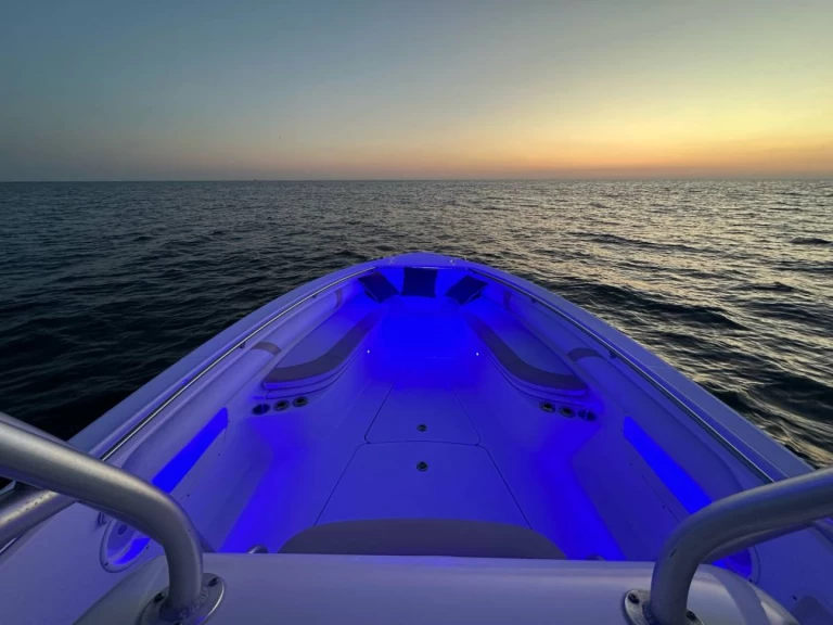 Location bateau Ýdra pas cher Boston Whaler 320 Outrage