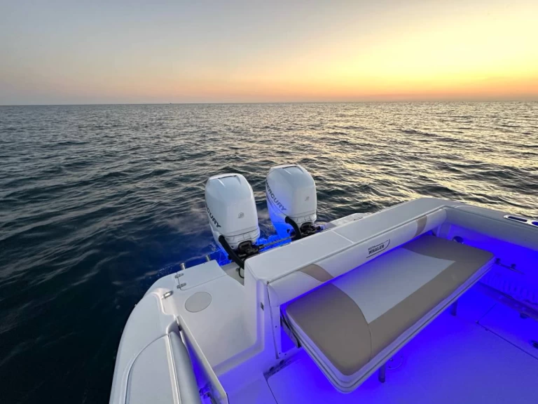 Location Bateau à moteur à Ýdra - Boston Whaler Boston Whaler 320 Outrage