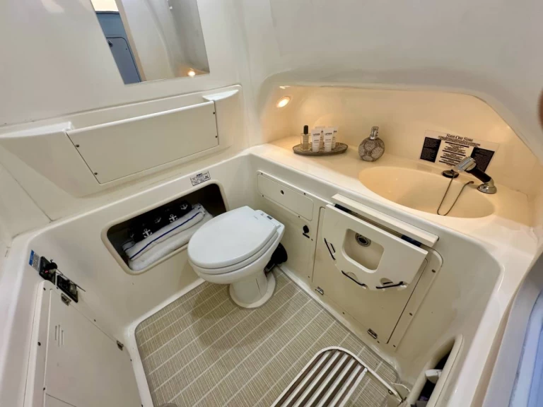 Location bateau Boston Whaler Boston Whaler 320 Outrage à Ýdra sur Samboat