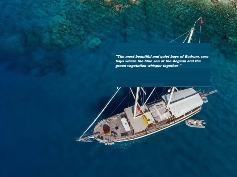 Location Semi-rigide Gulet avec permis