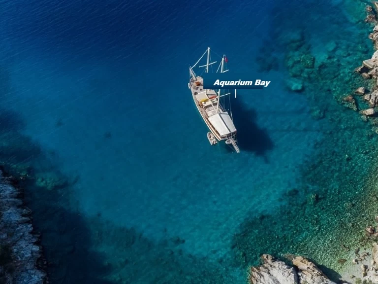Semi-rigide à louer à Budrum Bay au meilleur prix