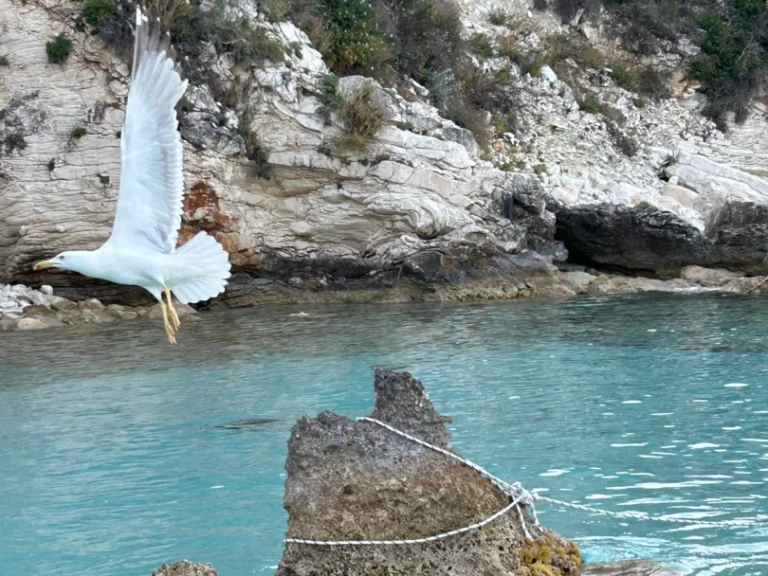 Catamaran à louer à Lefkáda au meilleur prix
