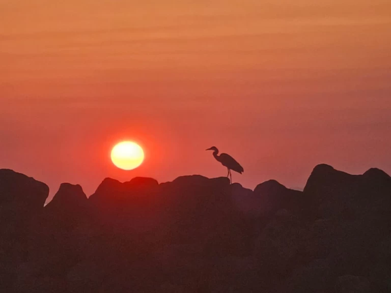 Location bateau Marco 26 à Oía sur Samboat