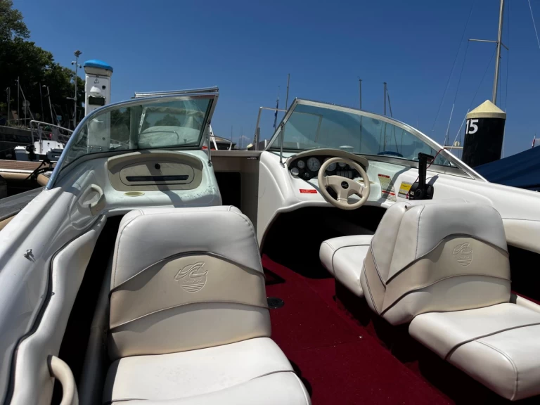 Location Bateau à moteur à Évian-les-Bains - Sea Ray Sea Ray 175 Bow Rider