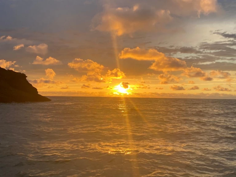 Pita Yacht Catamaran One Off a louer à Hendaye