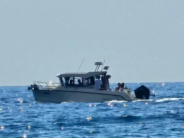 Louez un Quicksilver Pilithouse 805 cabine à Budva