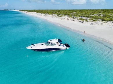 Hyr en Sea Ray SUNDANCER 420 Turks Islands 