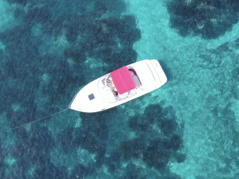 Location à Vieux Port de Cannes - Rinker Captiva 232 Cudy sur SamBoat