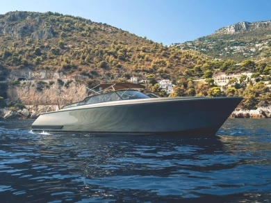 Hire Motorboat with or without skipper Reborn Cannes
