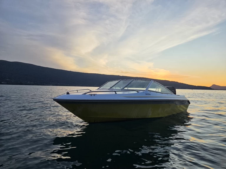 Location bateau Annecy pas cher Sea Ray 160 CB