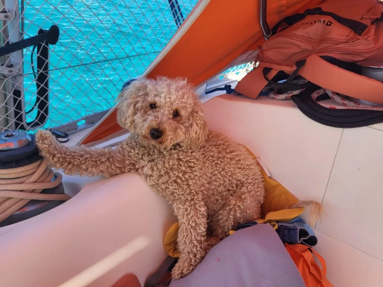 Location bateau Saint-Florent pas cher Sun Fizz