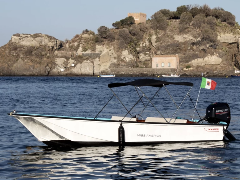 Location à Aci Trezza - Boston Whaler Boston Whaler 17 sur SamBoat
