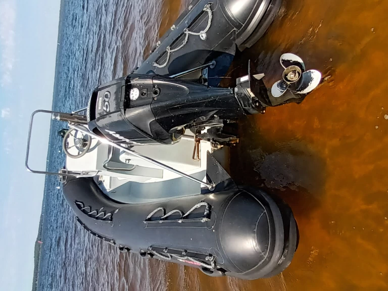 Location bateau 3D Tender Defender 490 à Lacanau sur Samboat