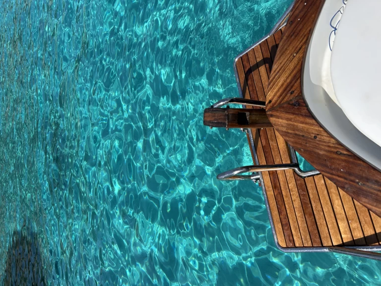 Salpa Vesuvio a louer à Palau