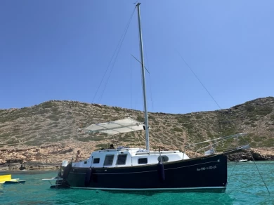 Yacht charter Palma de Majorque cheap Delfin 28