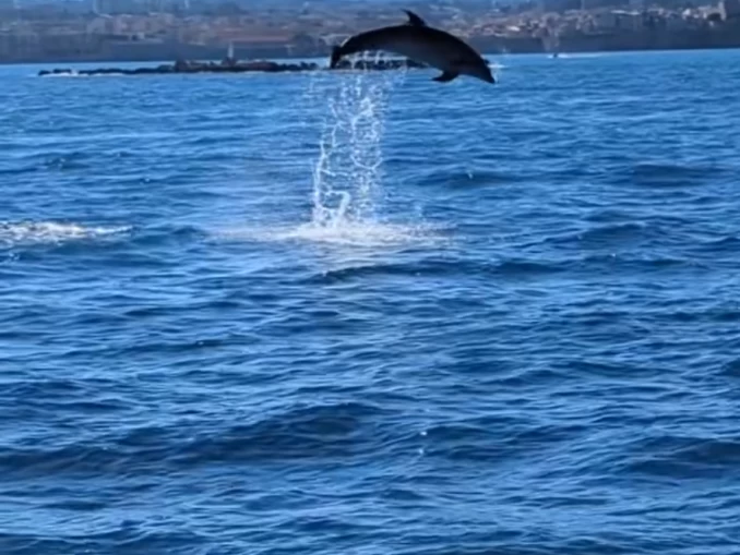 Location Bateau à moteur Navan avec permis