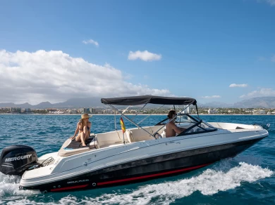 Hyra Motorbåt  med eller utan skeppare Bayliner Altea 