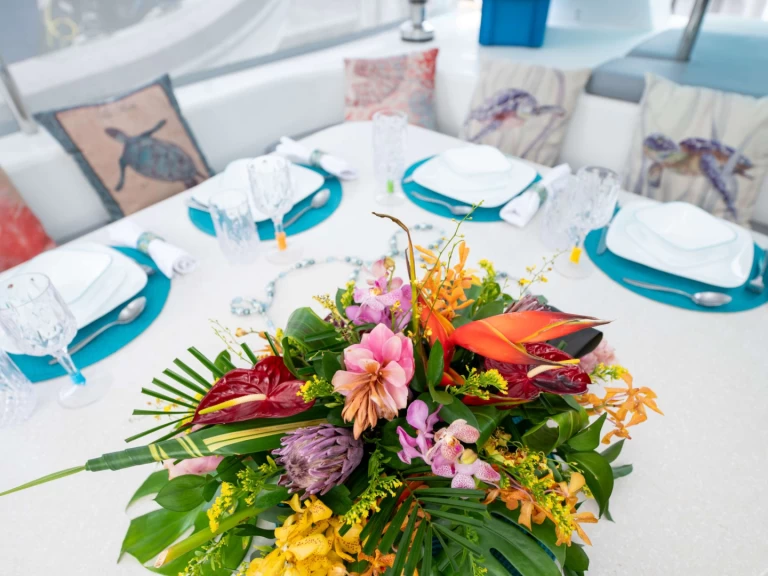 Voyage TURQUOISE TURTLE a louer à Îles Vierges britanniques (BVI)