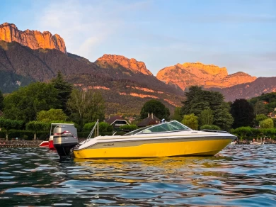 Hyra Motorbåt  med eller utan skeppare Sea Ray Annecy 