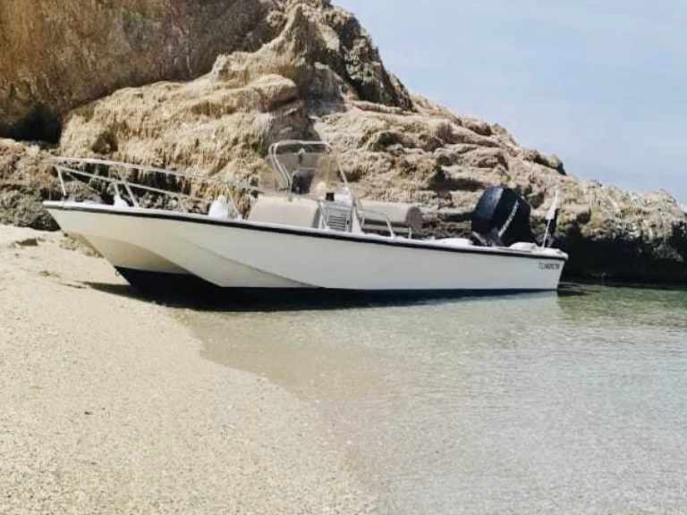 Location à Larmor-Plage - Boston Whaler Boston Whaler 17 sur SamBoat