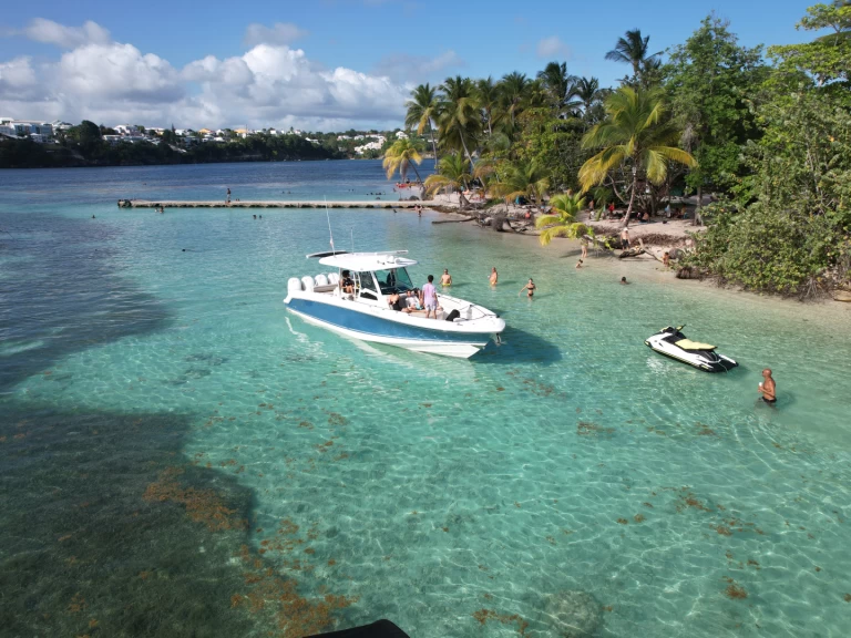 Location à Pointe-à-Pitre - Boston Whaler Boston Whaler 380 Outrage sur SamBoat