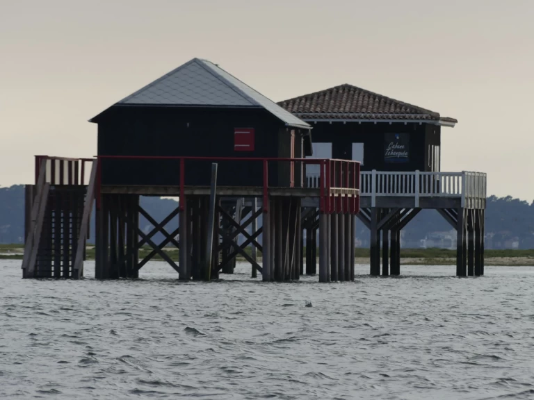 Location Bateau à moteur à Arcachon - Bayliner E21