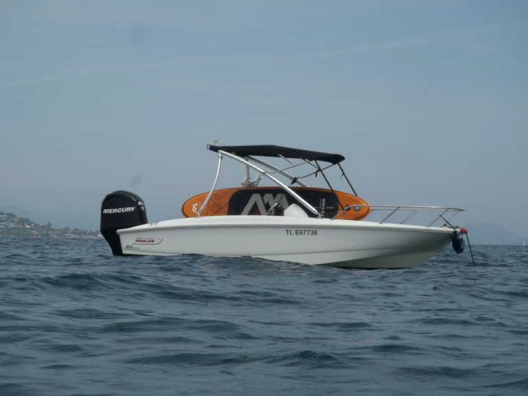 Location à Sainte-Maxime - Boston Whaler Boston Whaler 170 super sport sur SamBoat