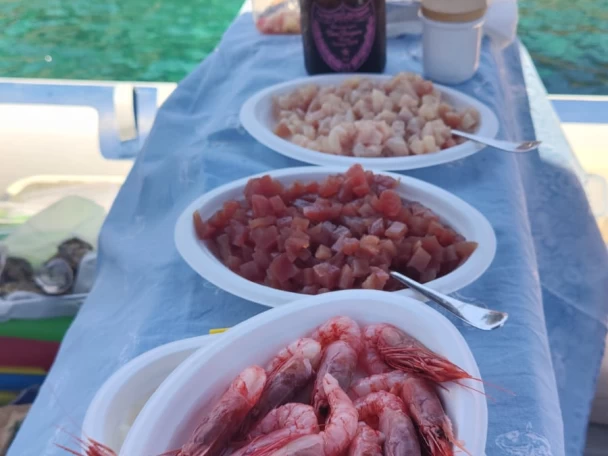 Location Semi-rigide Northstar avec permis