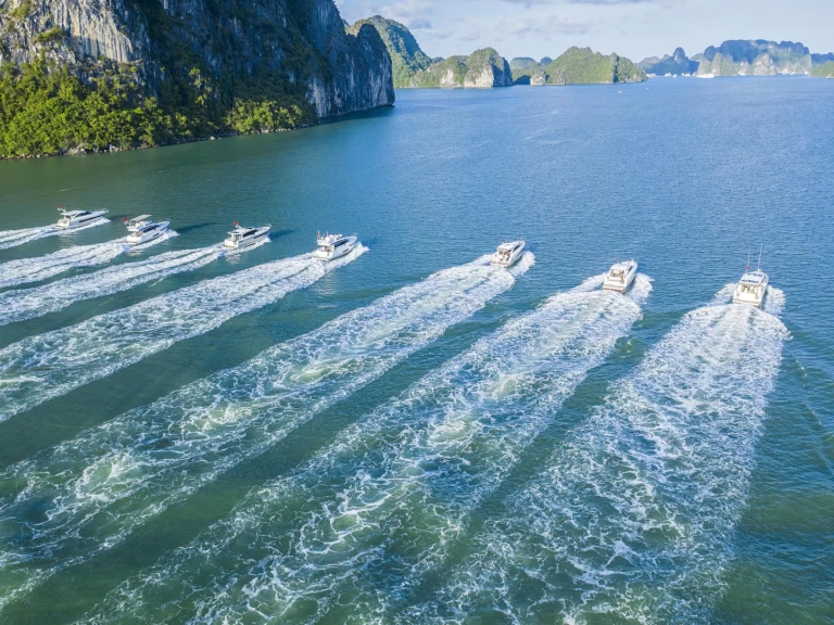 Louez un Prestige Prestige 520 Fly à Hạ Long