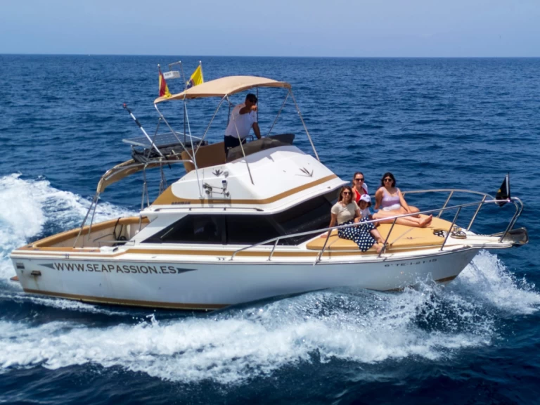 Location à Guía de Isora - Bertram Bertram 28 flybrigde sur SamBoat