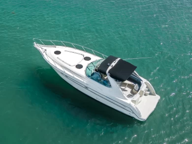 Noleggio a Miami – Maxum Maxum 38 su SamBoat