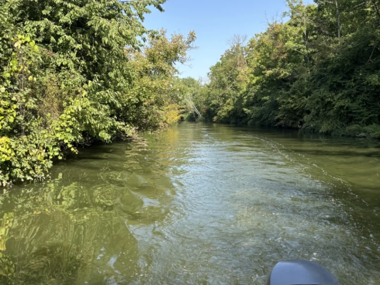 Location Bateau à moteur Jeanneau avec permis