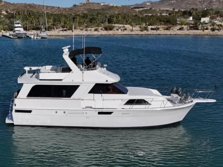 Louez un Chris Craft Constellation 55 à San José del Cabo