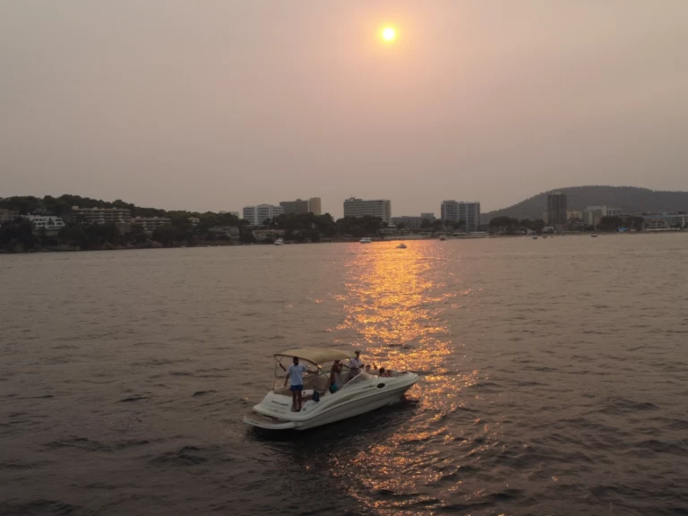 Louez un Sea Ray Sea Ray 240 Sundeck à Palma de Majorque